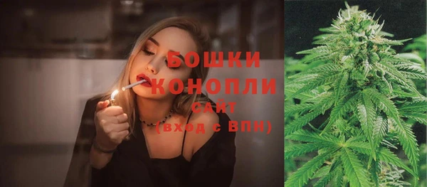гашик Костерёво
