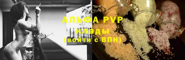 гашик Костерёво