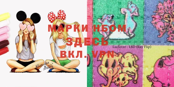 гашик Костерёво
