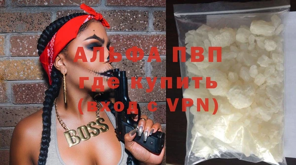 гашик Костерёво