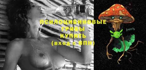 гашик Костерёво