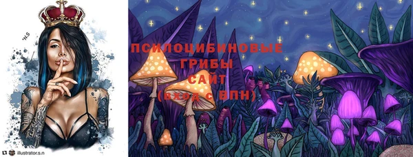 гашик Костерёво