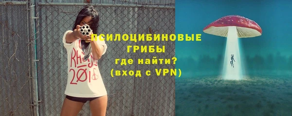 тгк Шадринск
