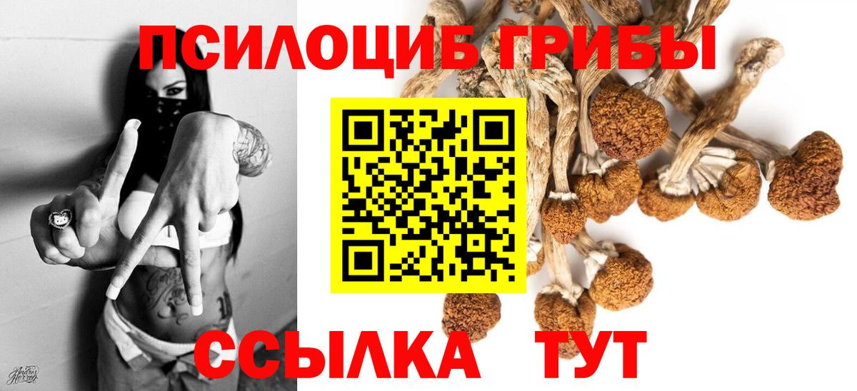 Галлюциногенные грибы Cubensis Новочеркасск