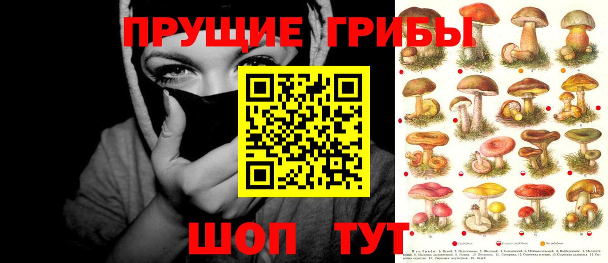 Галлюциногенные грибы ЛСД  Вход с VPN  Новочеркасск 